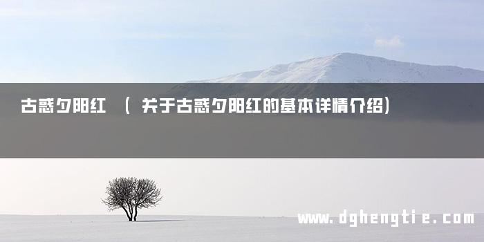 古惑夕阳红 (关于古惑夕阳红的基本详情介绍)